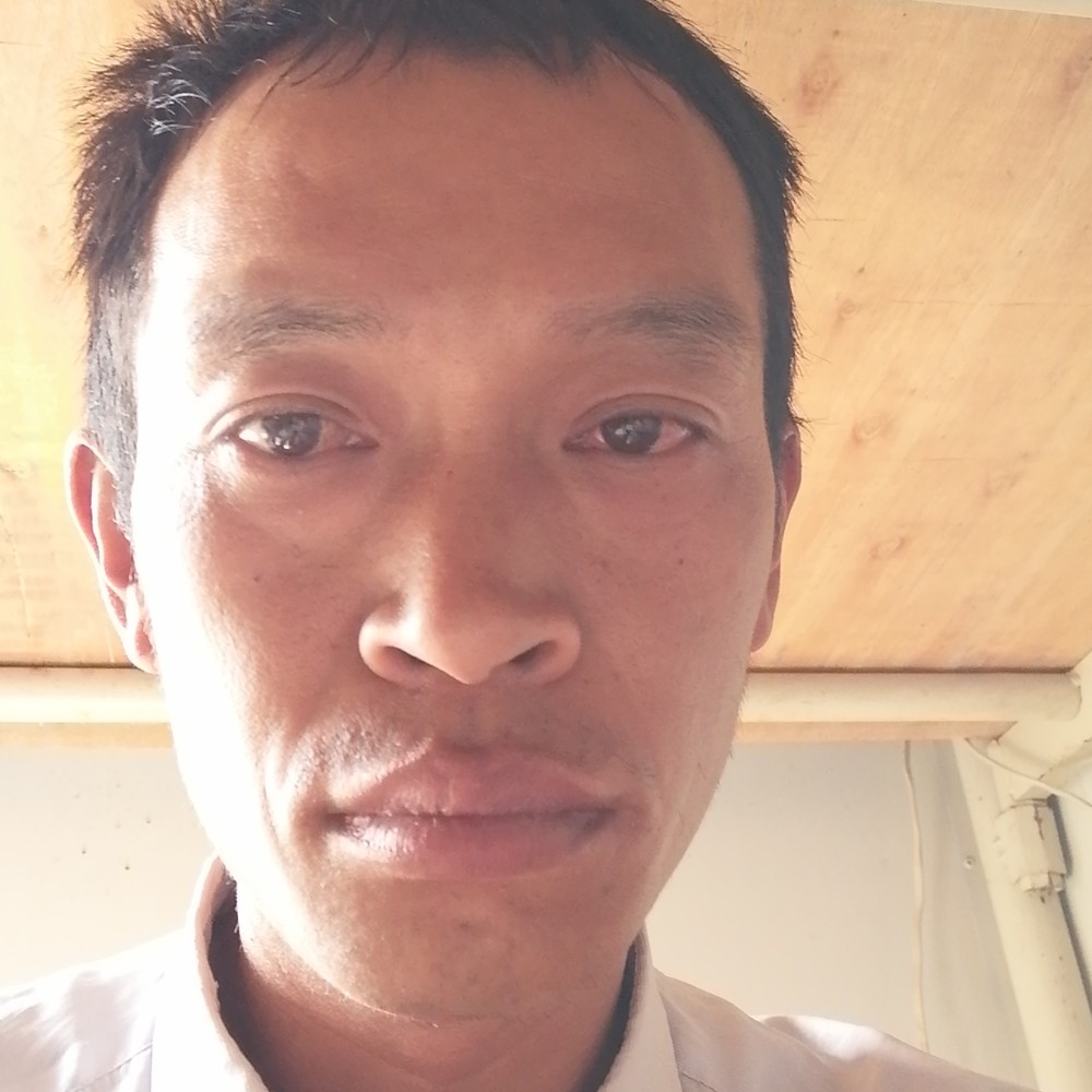 金鱼爱感动的照片