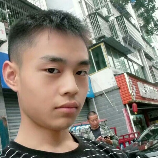 追寻着风的照片