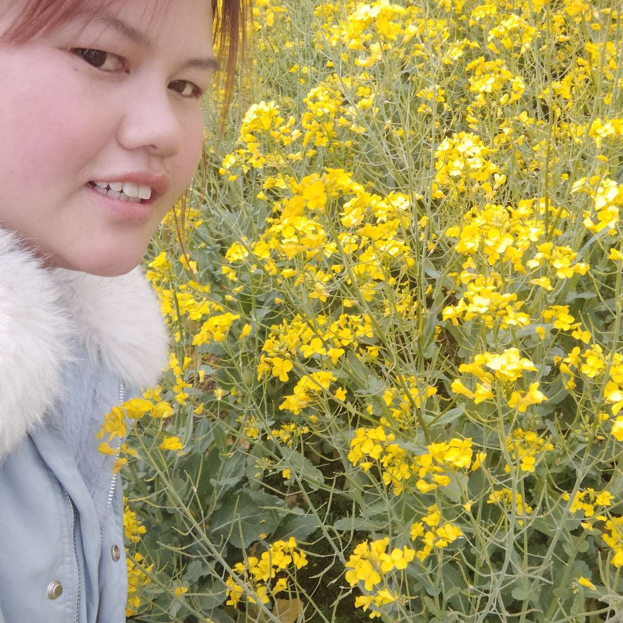 体贴de西蒙的照片