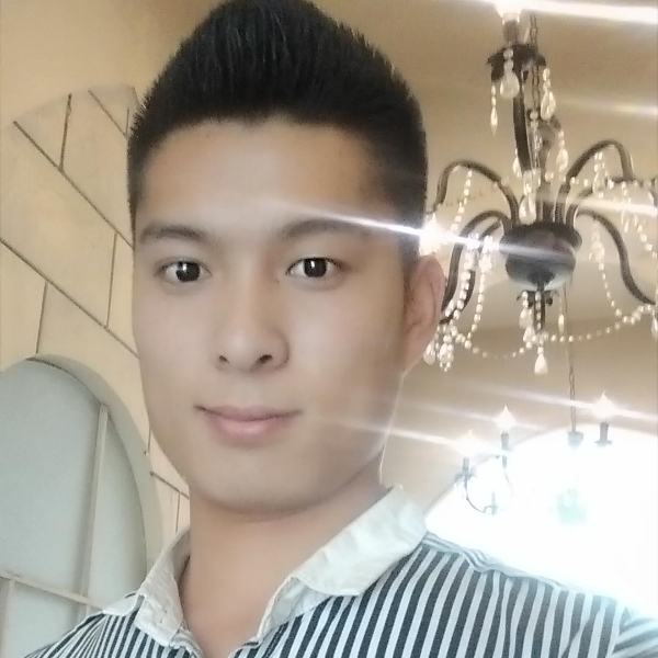 你的一片森林的照片