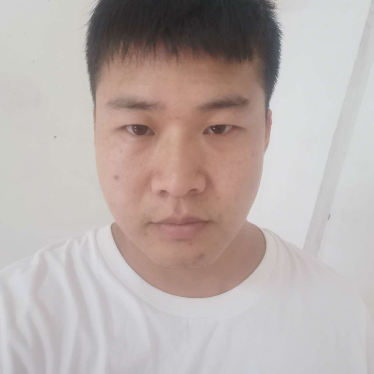 木%鱼的照片