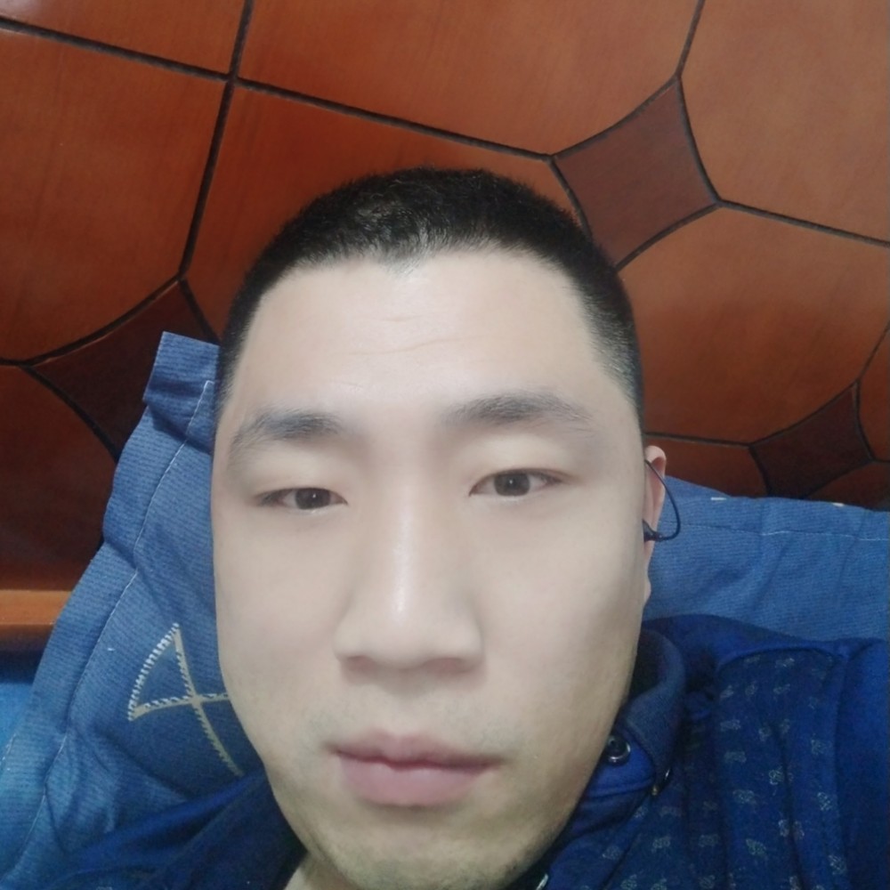 黄蜂愿英勇的照片