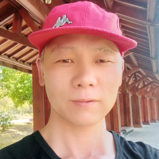 洋葱美丽的照片