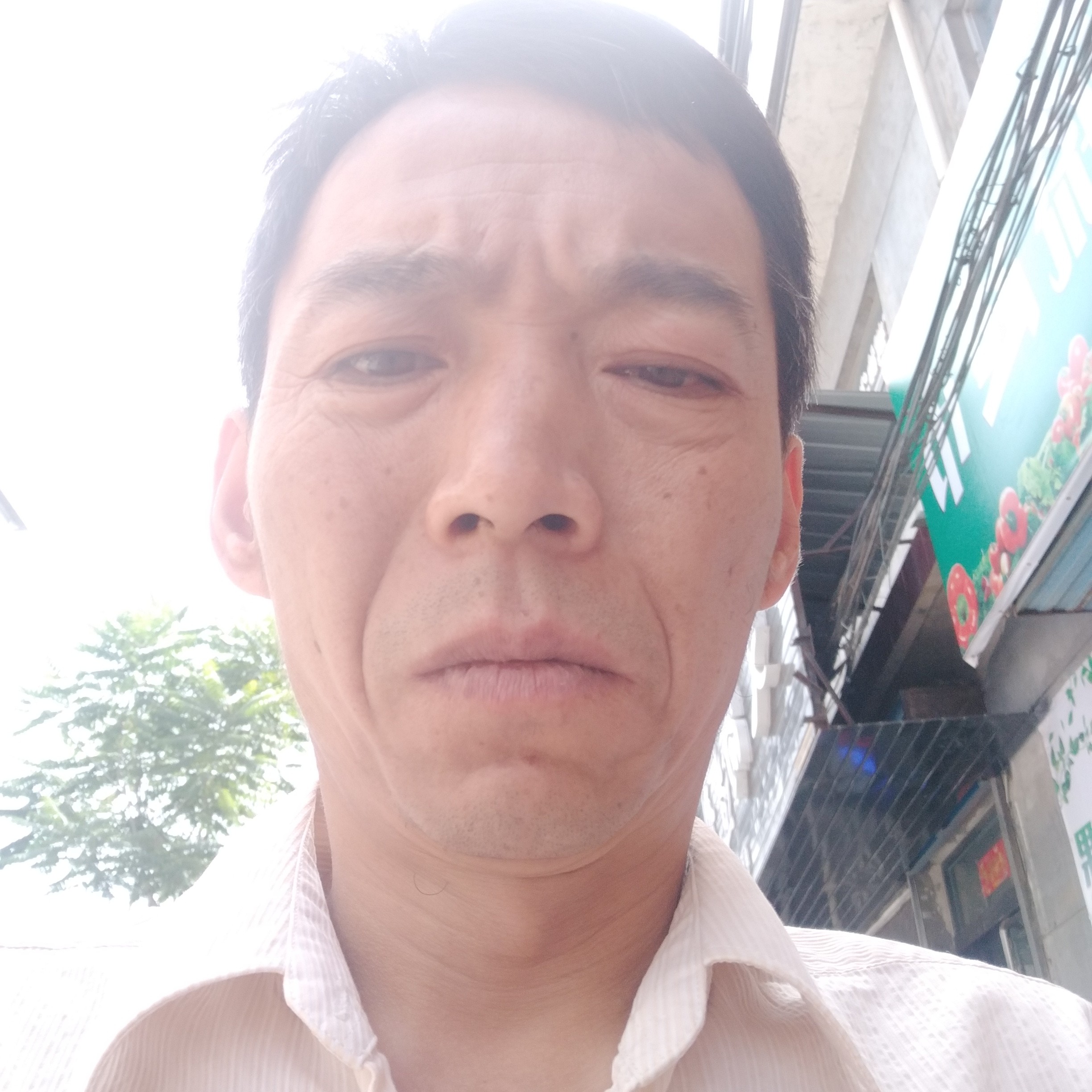 炮神炮炮的照片