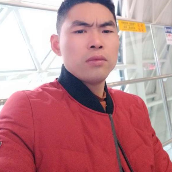 娇气发夹的照片