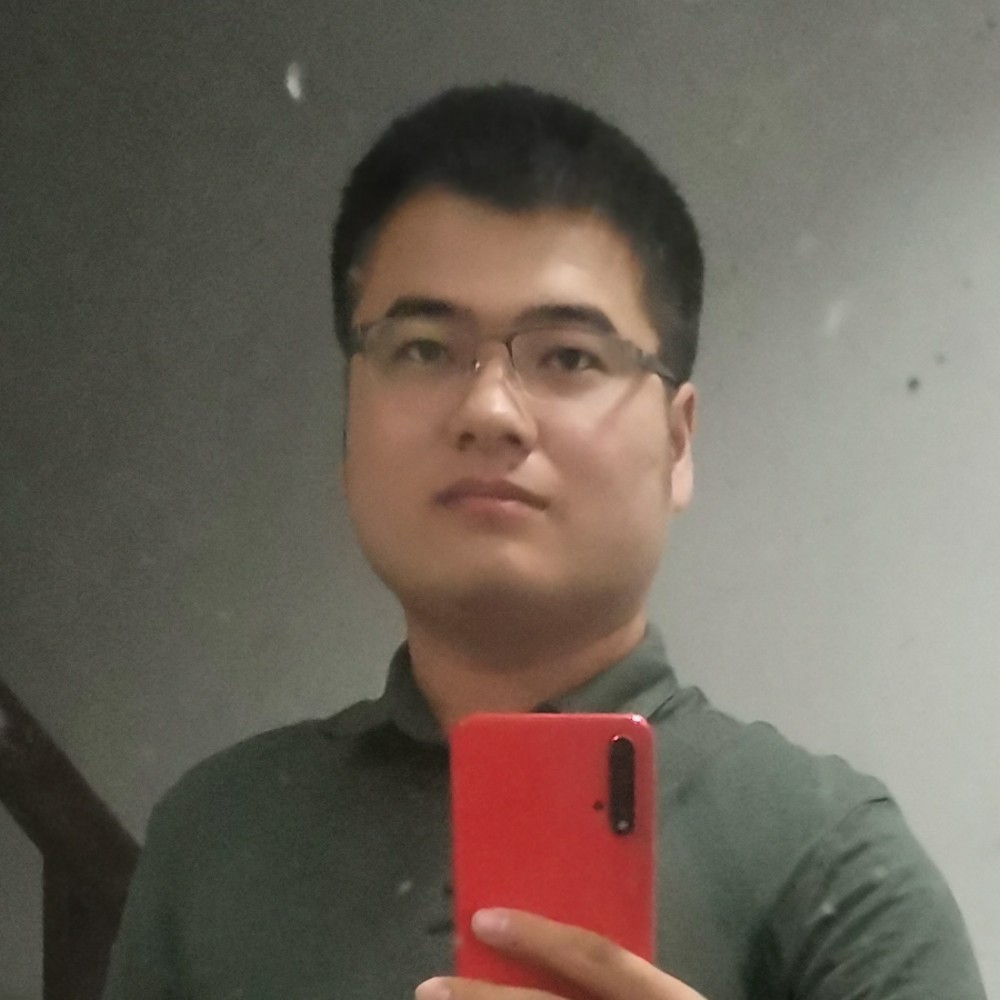 谨慎扯小海豚的照片
