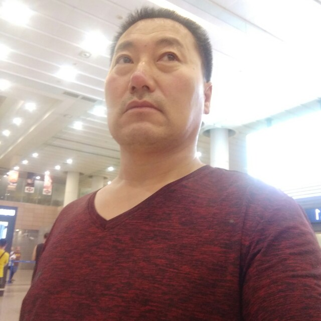 草原神鹰的照片