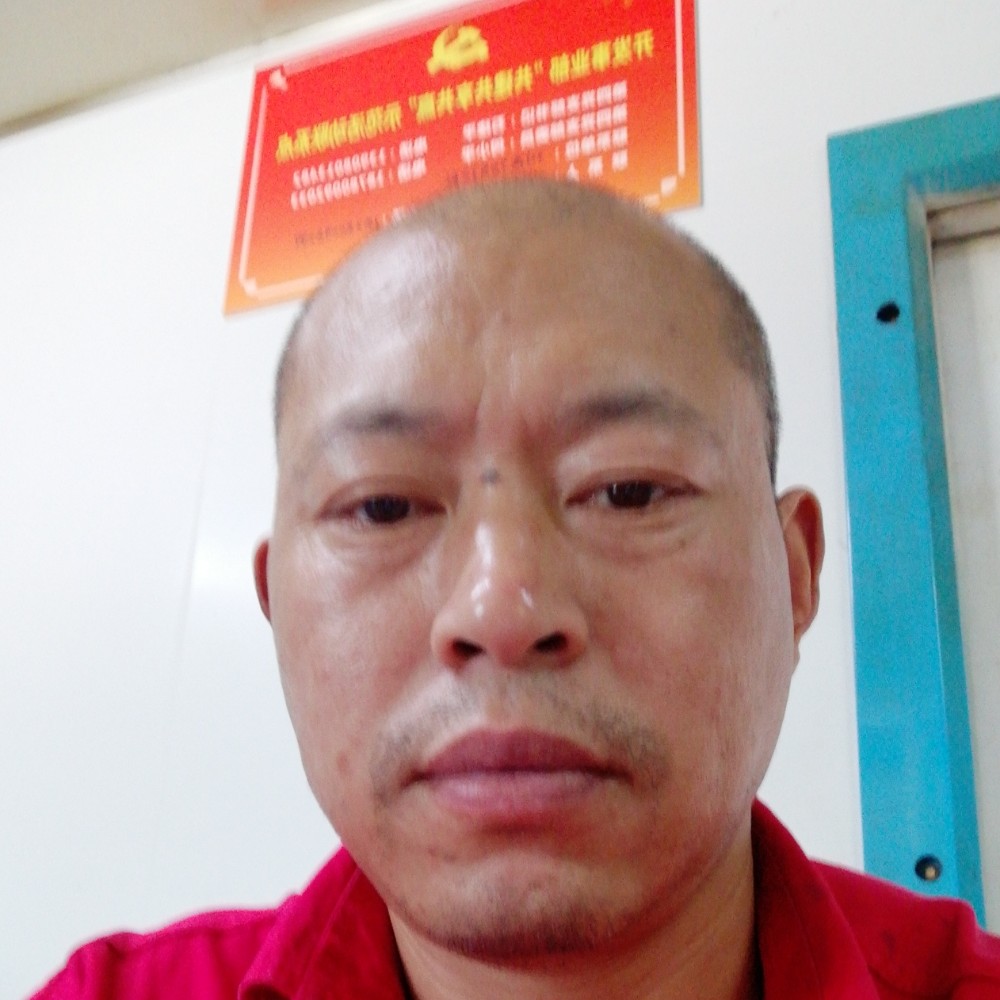 地丁草的照片