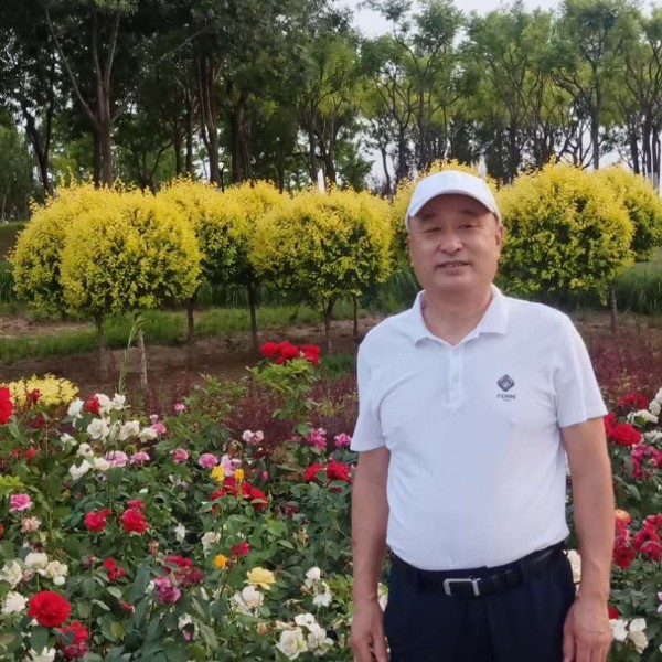 火车香蕉的照片