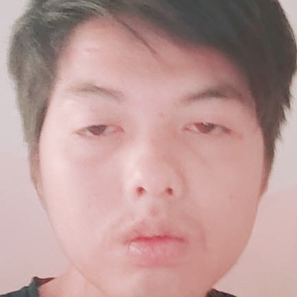 小蚂蚁浅吻魔幻的照片