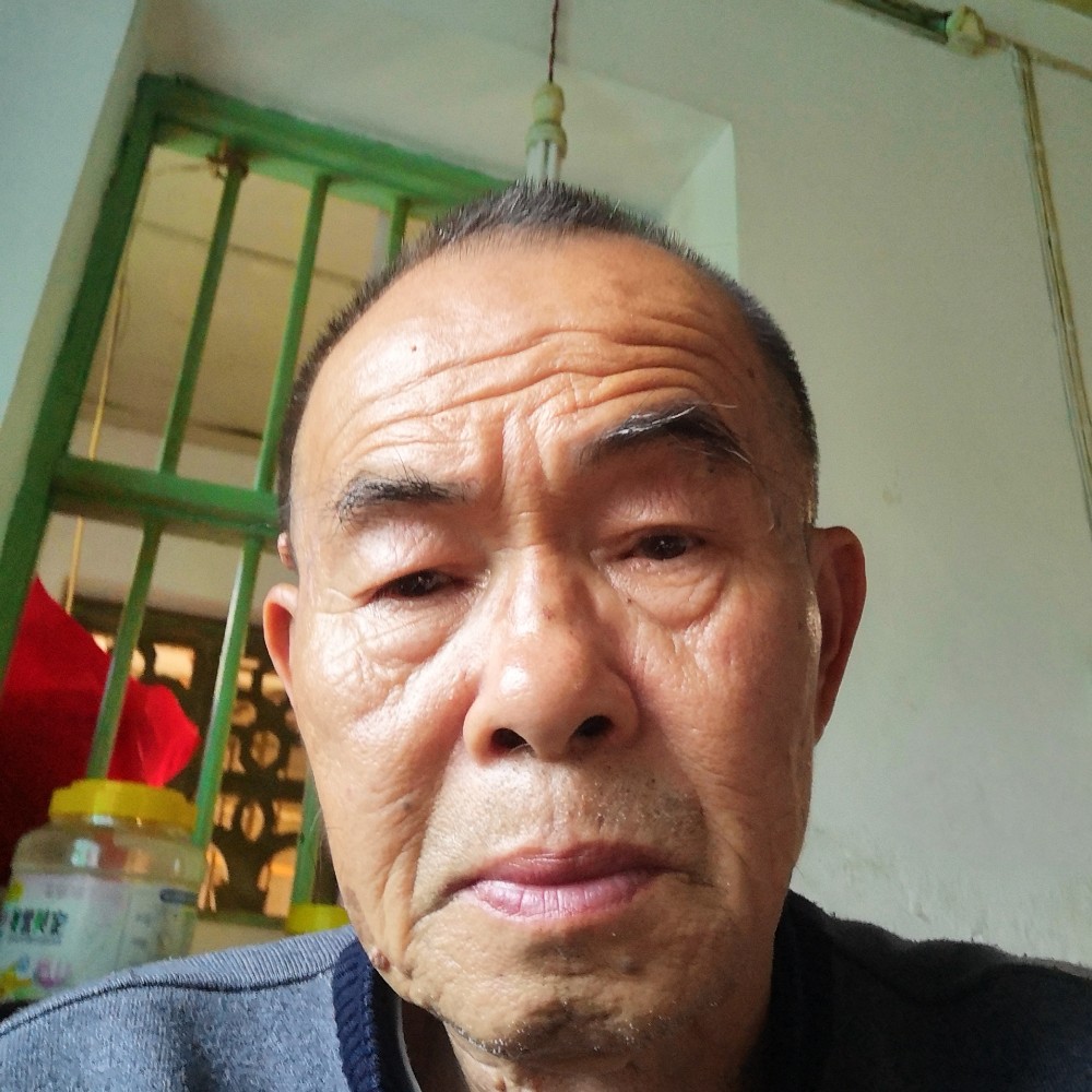 热心用黄蜂的照片