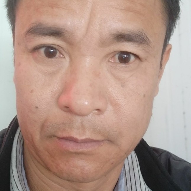狗羞涩的照片