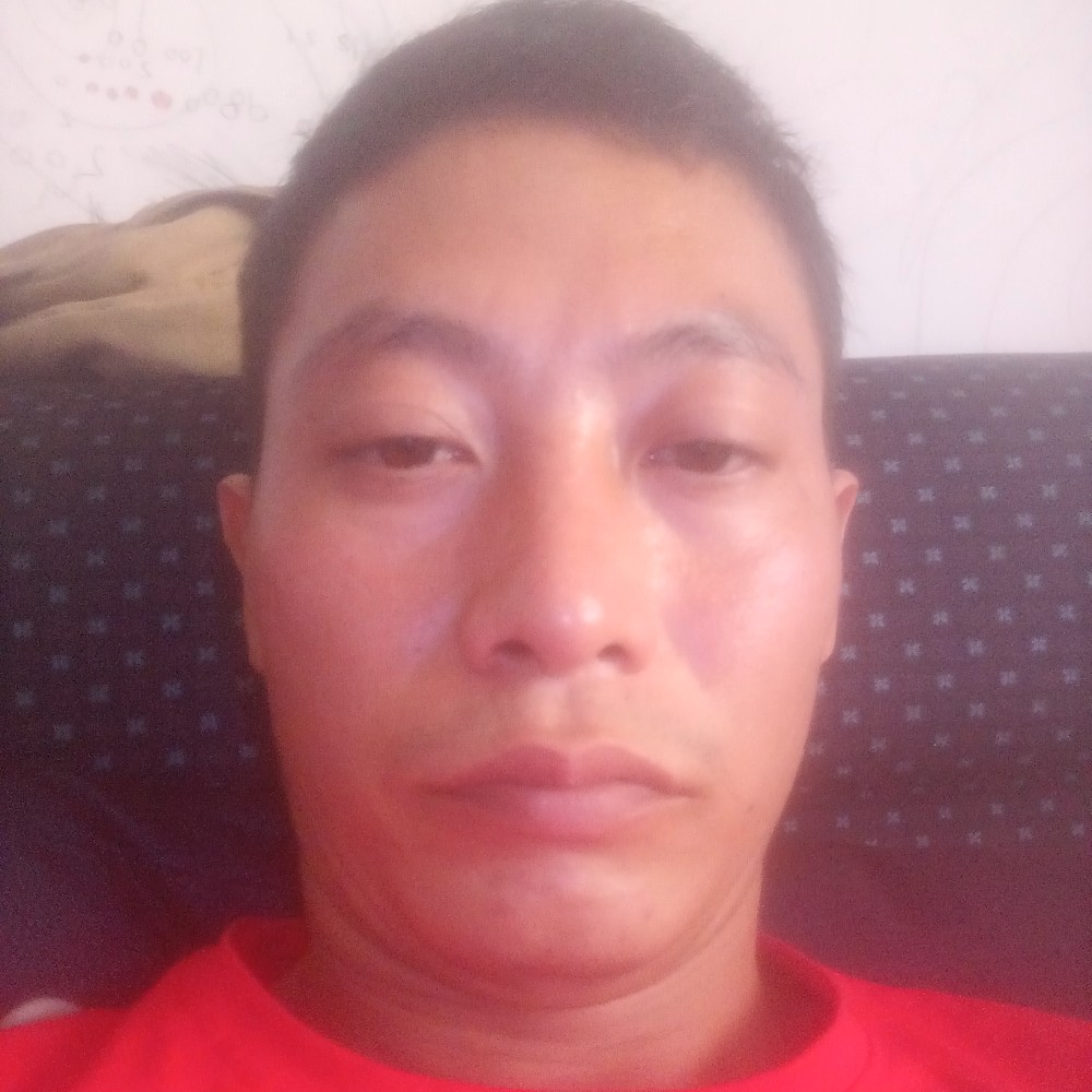 灰狼与自由的照片