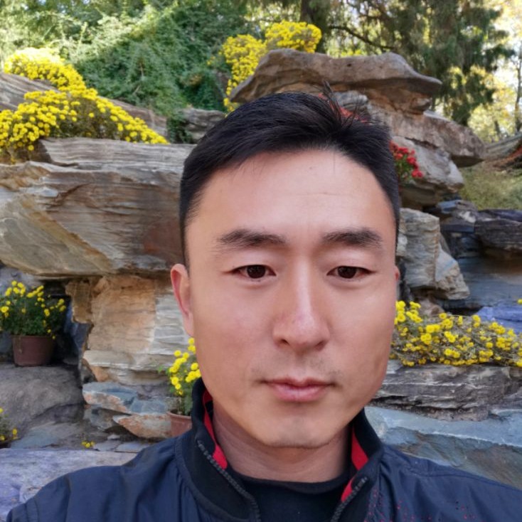 早晨踢怕孤独的照片