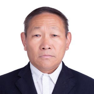 爱情倾心自然的照片