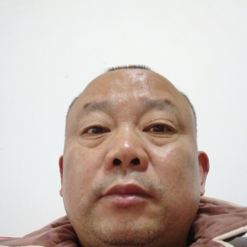 认真刺猬的照片