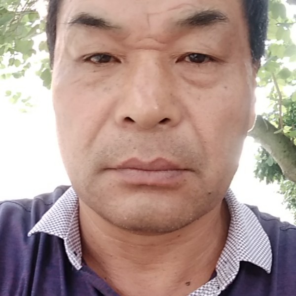 感性还夏露的照片