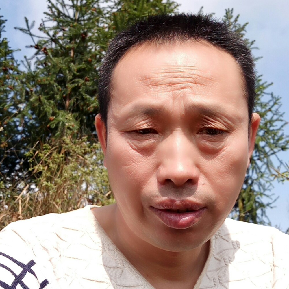 芝麻温暖的照片