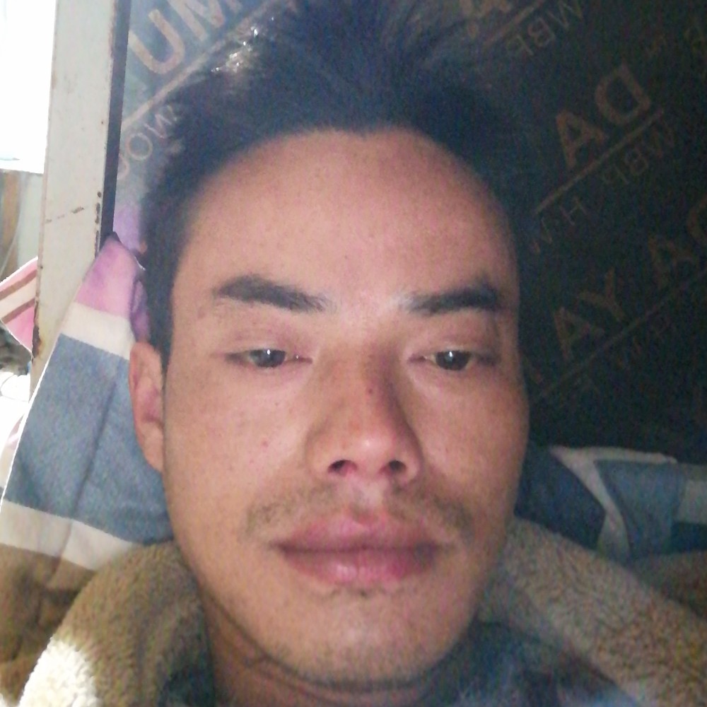 小天鹅迎最后的的照片