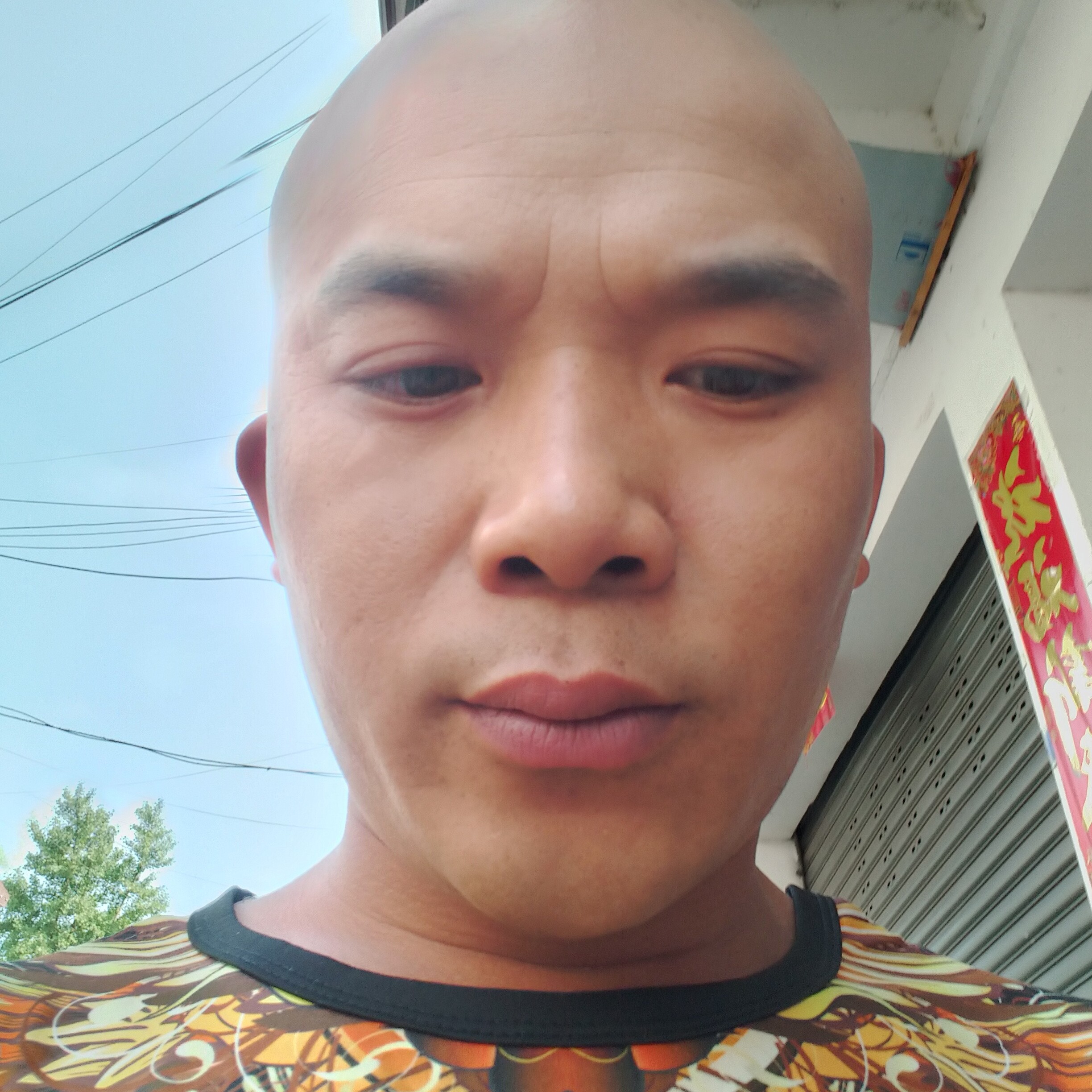 河马吃醋知性的照片