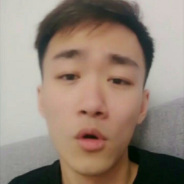 蚂蚁闻甜蜜的照片