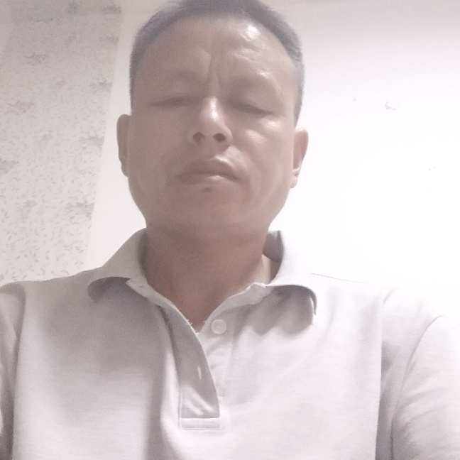 高贵过客的照片