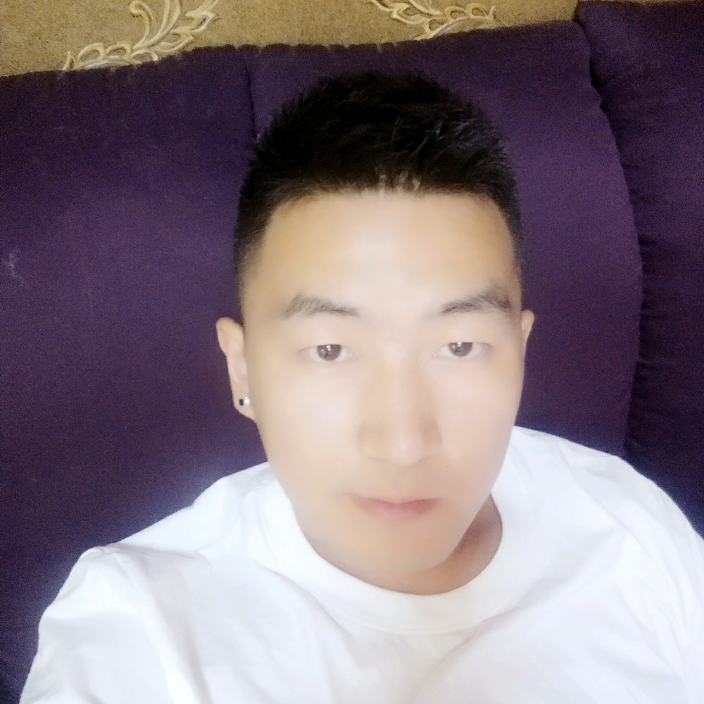 灰狼悲凉的照片