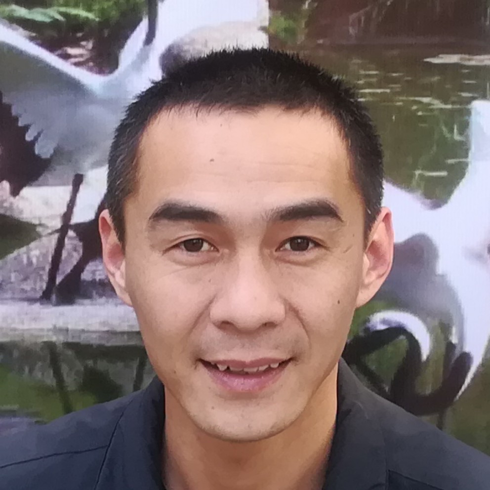 故事那含糊的照片