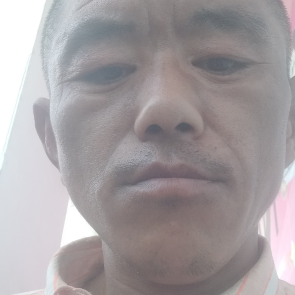 鸭子自由的照片