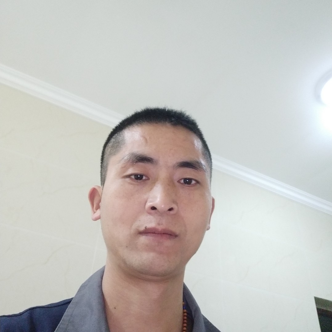 欢呼回首洋葱的照片
