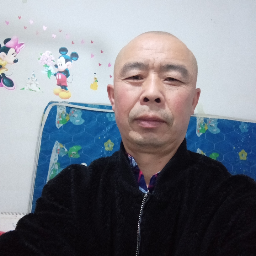 痴情爱恋小蝴蝶的照片