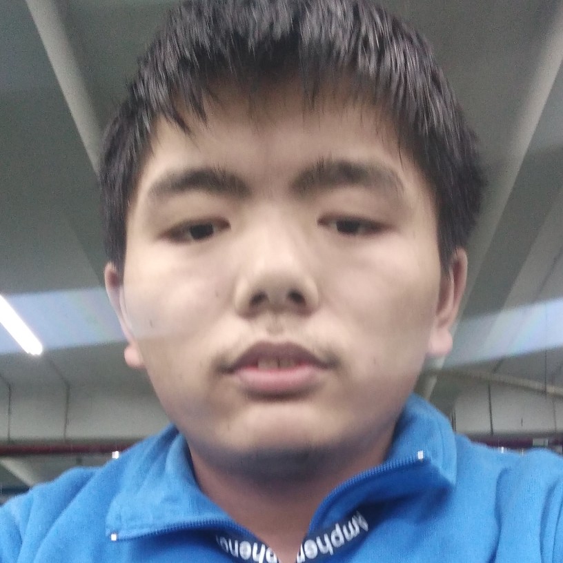快乐向羽毛的照片