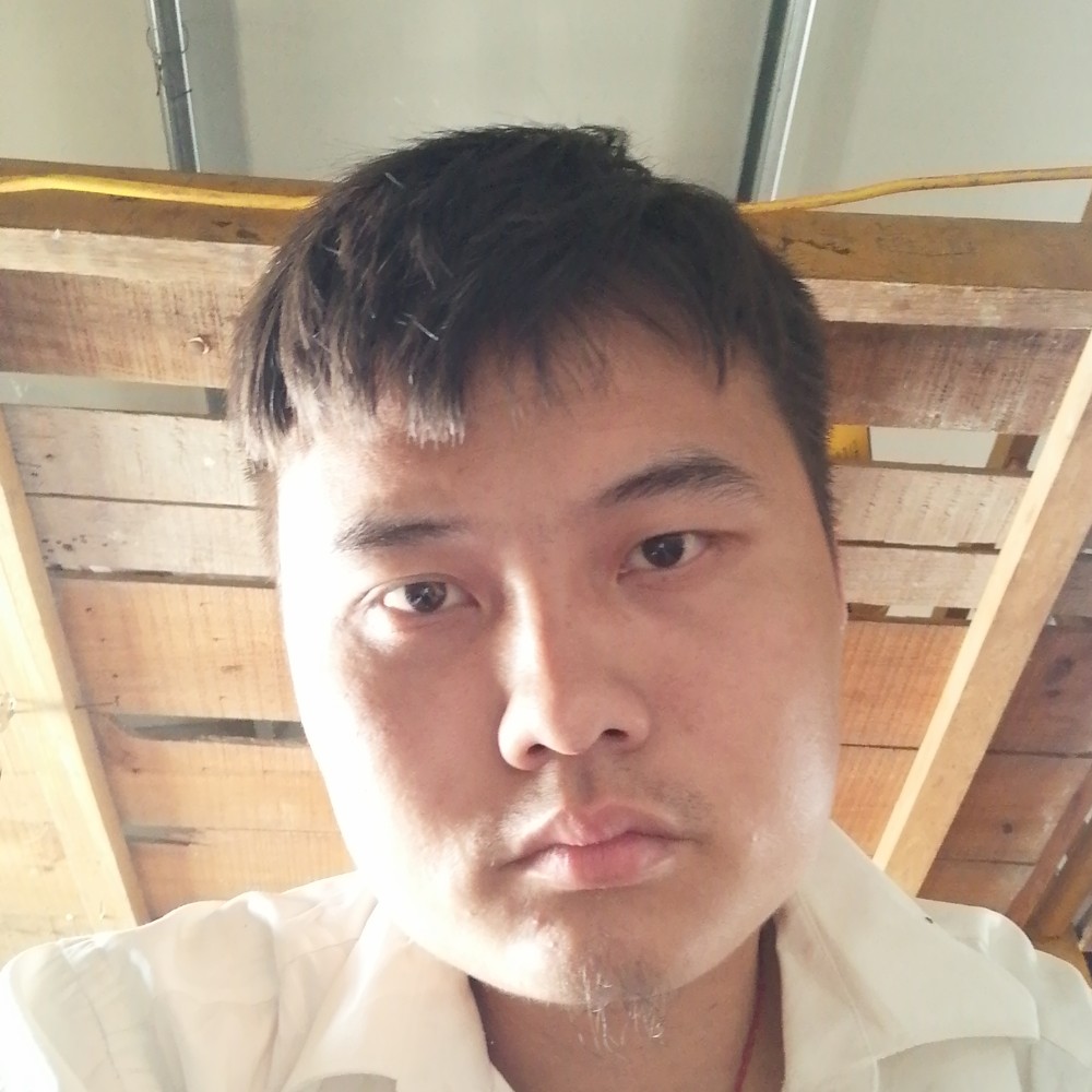 蚂蚁漫步灼热的照片