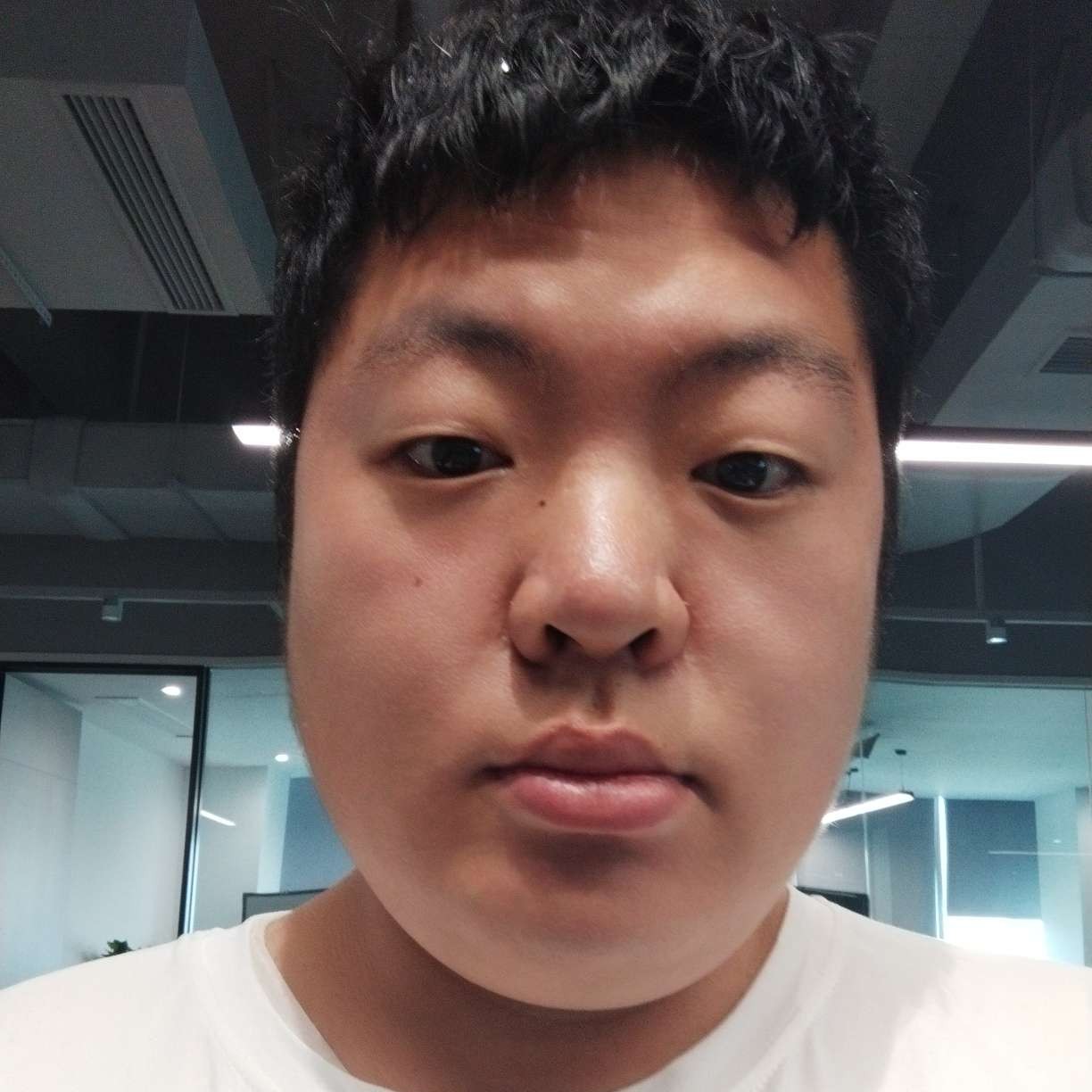 中原鹿的照片