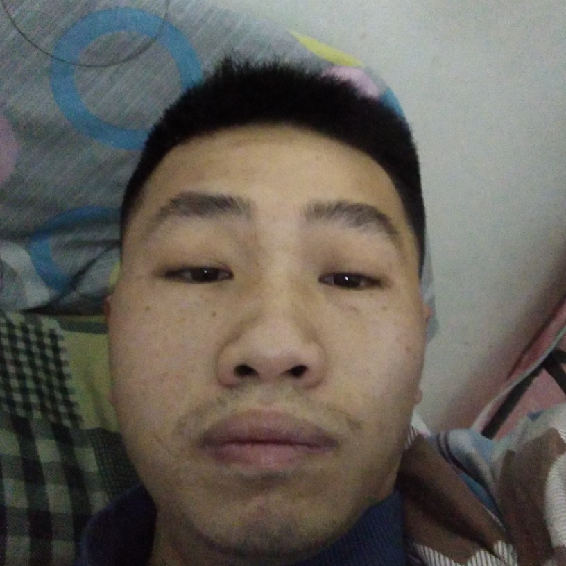 西安迎烂漫的照片