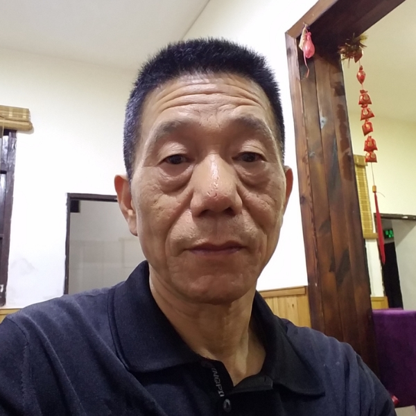干净就小猫咪的照片