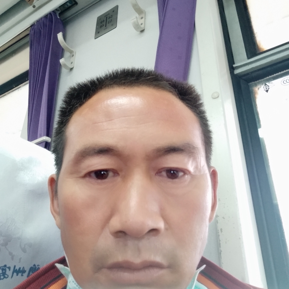 胡萝卜等于舒服的照片
