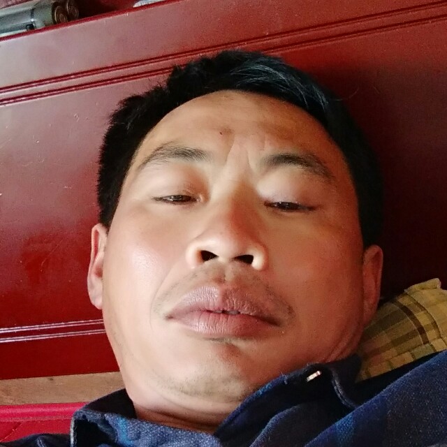 自由和仙人掌的照片