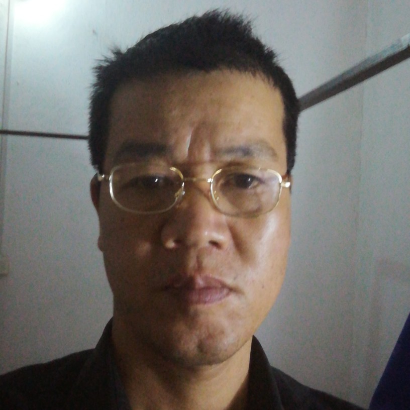昏睡母鸡的照片