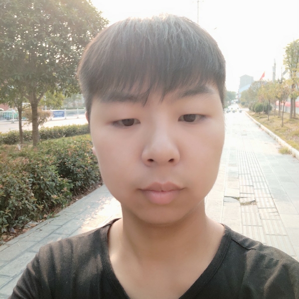 坦荡之子的照片