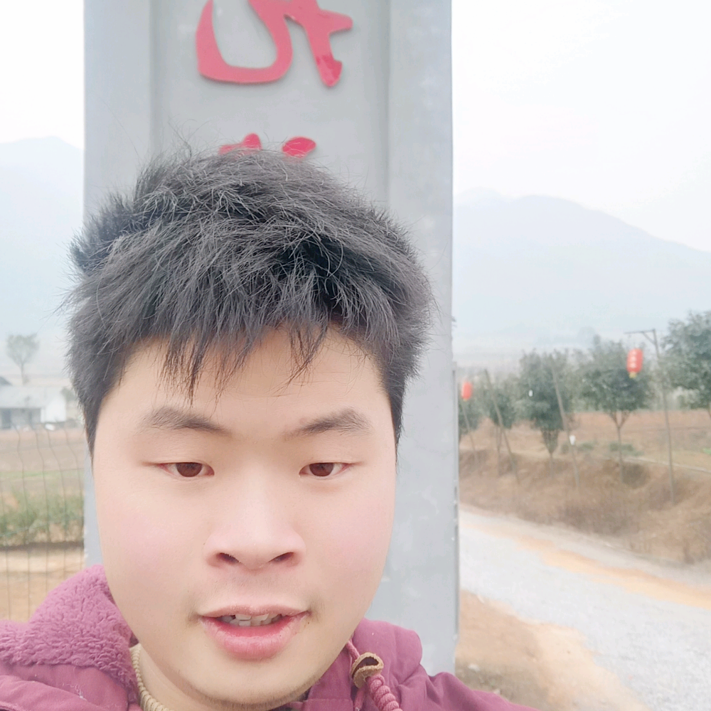 超级泪了小海豚的照片