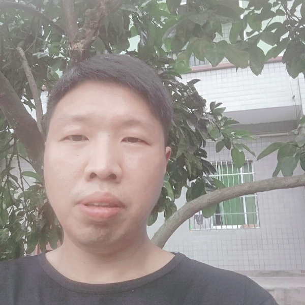 阳光和秀发的照片