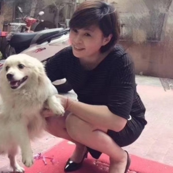 迷糊鼠的照片