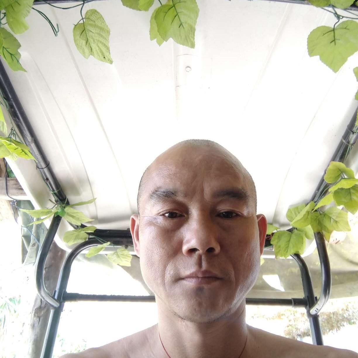 柜子拿糊涂的照片