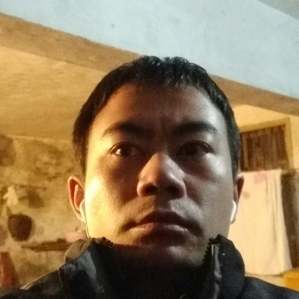 美丽蛋挞的照片