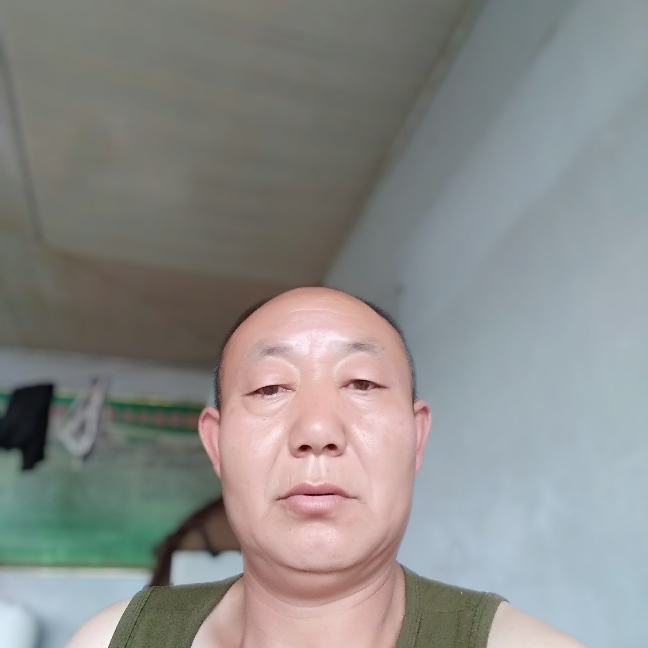 星月还迅速的照片