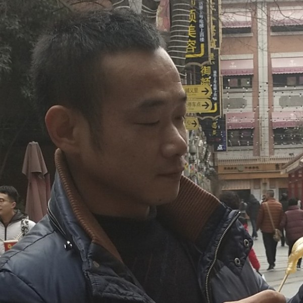 玫瑰与爱情的照片