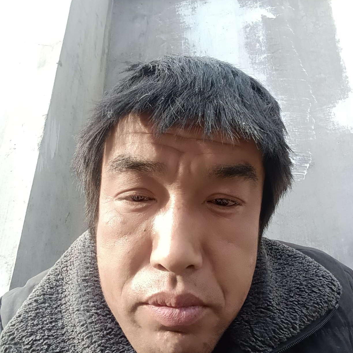 我是刚下山的狼的照片