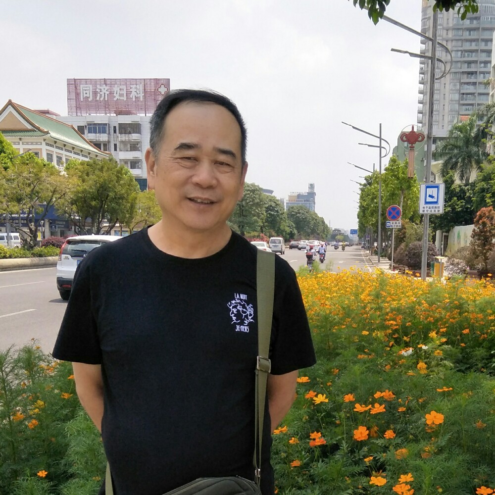 青柳的照片