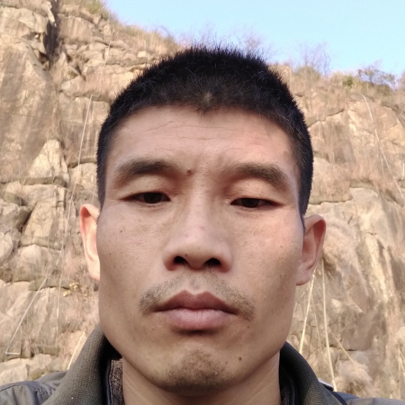 鱼倾心英勇的照片